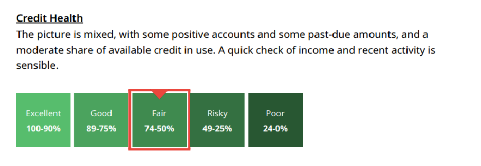 Credit health section in Royal Invest's credit check report.