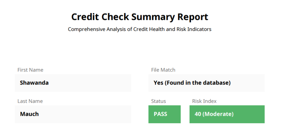 Credit check summary section in Royal Invest's credit check report.
